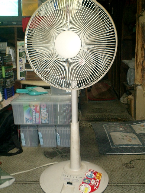 Ventilatore elettrico domestico