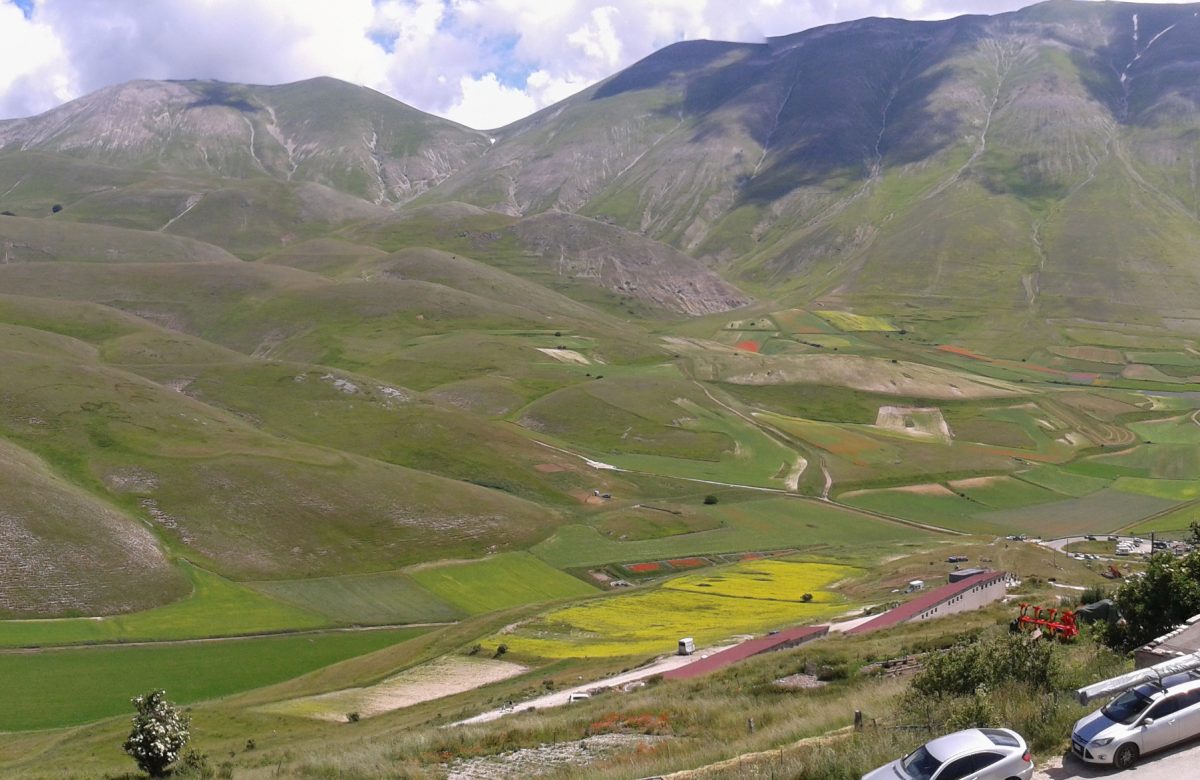 Fioritura sui Piani di Castelluccio di Norcia