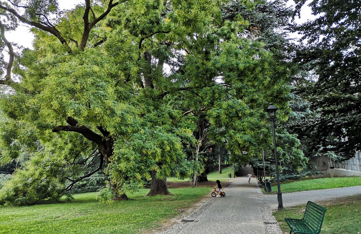 Parco Majnoni a Erba