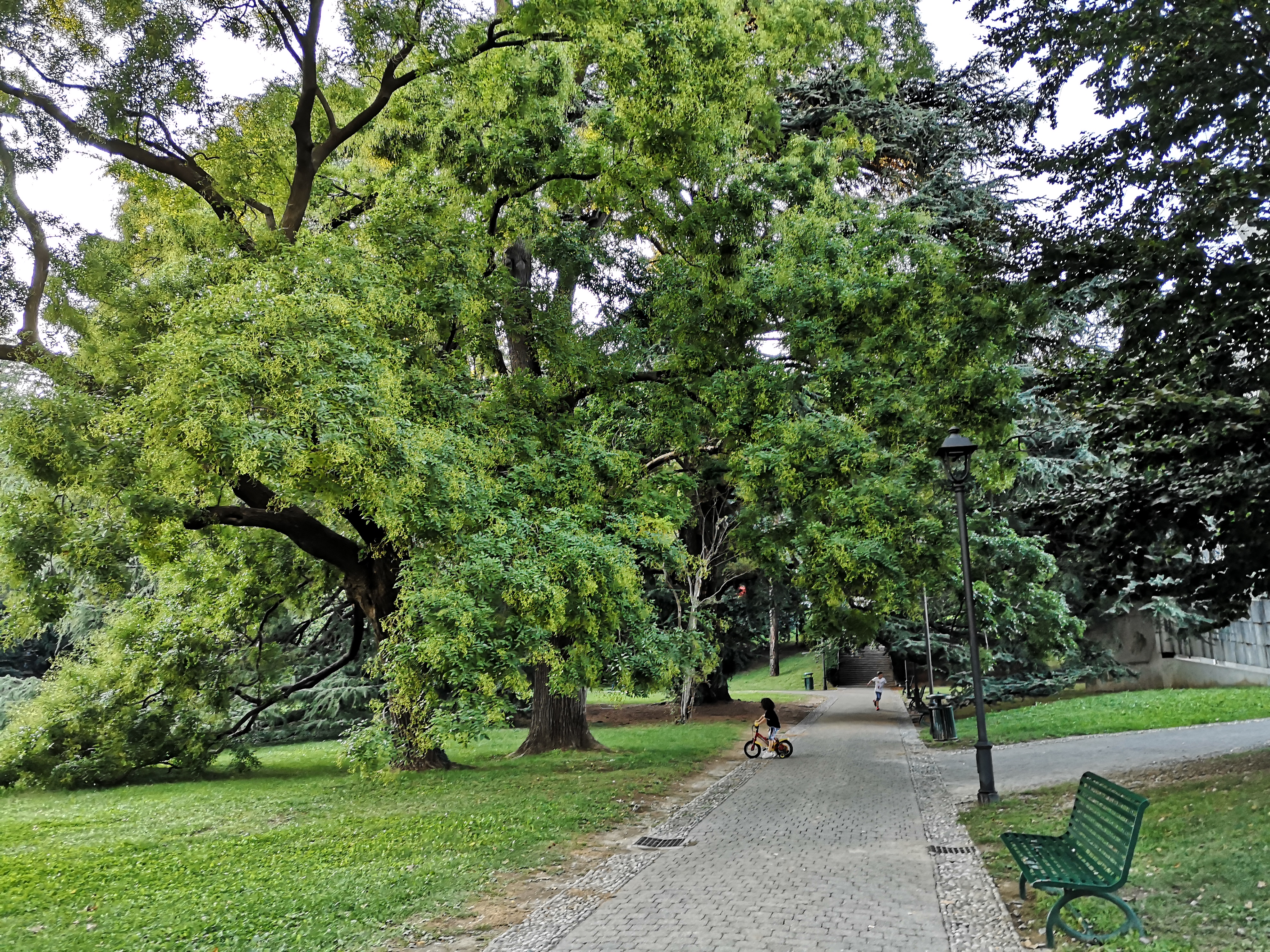 Parco Majnoni a Erba