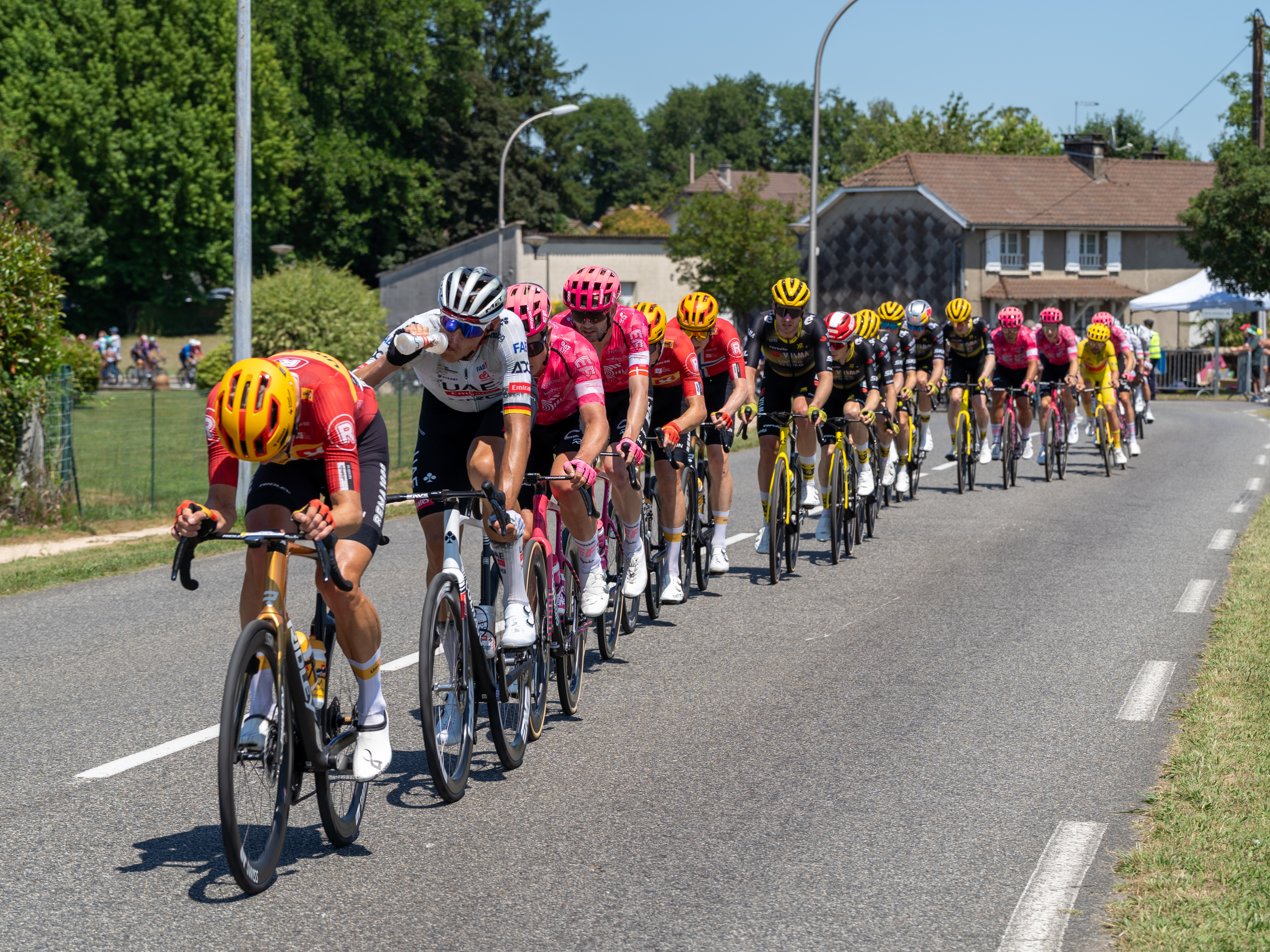 Peloton del Tour de France su una strada durante una tappa