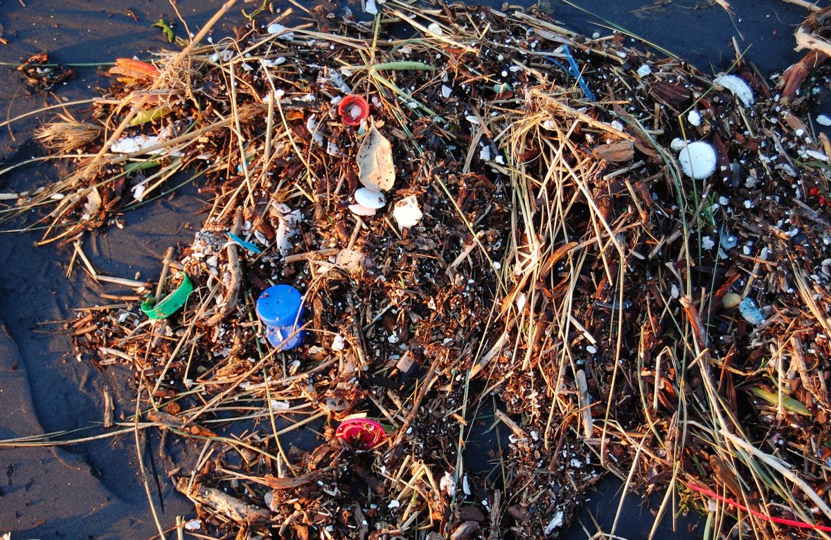 Frammenti di plastica spiaggiati sulla sabbia