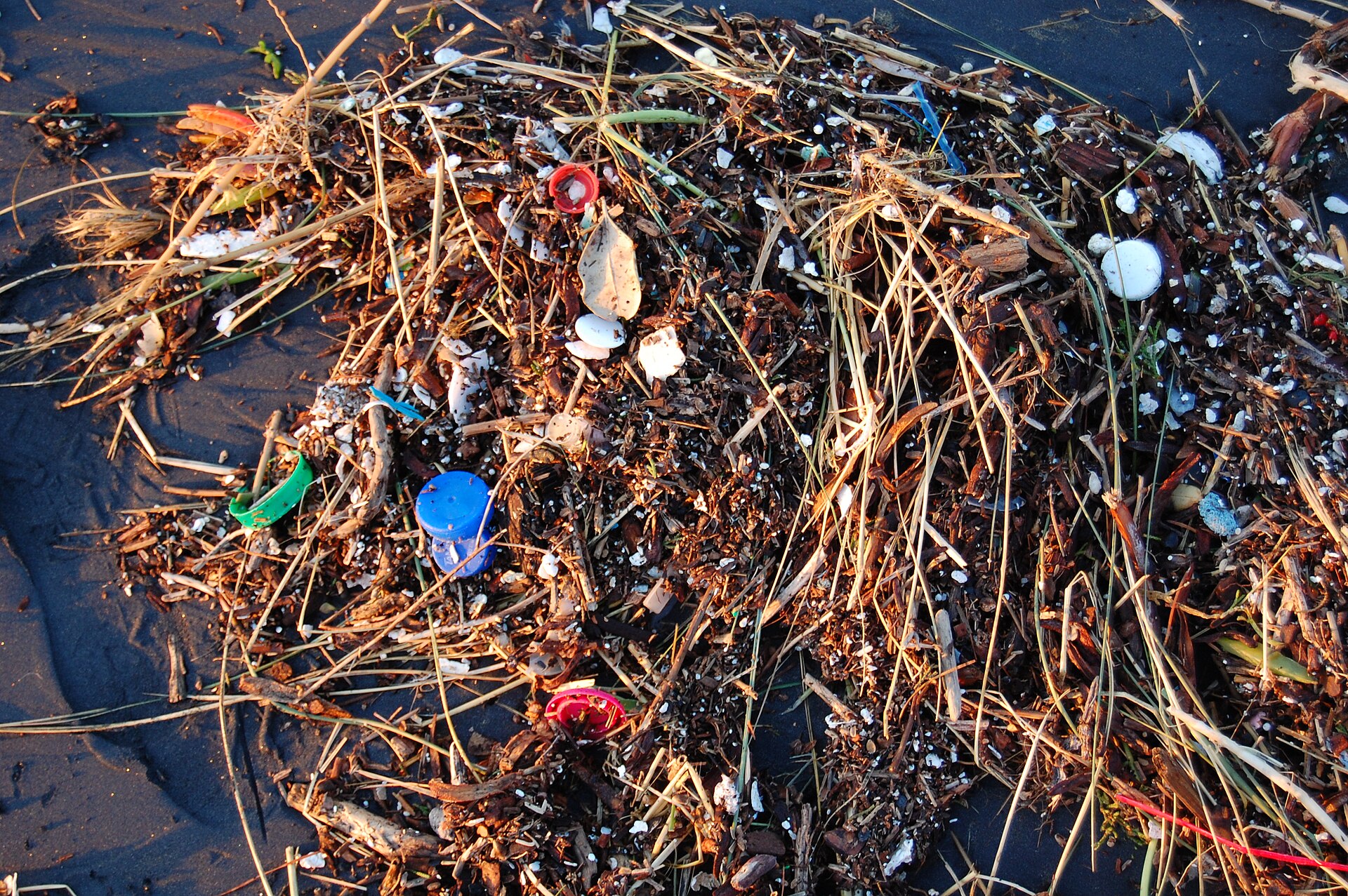 Frammenti di plastica spiaggiati sulla sabbia