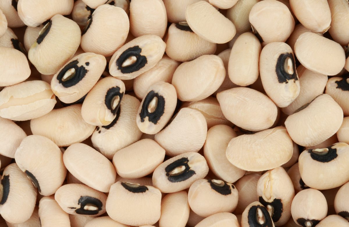 Fagioli dall'occhio neri secchi