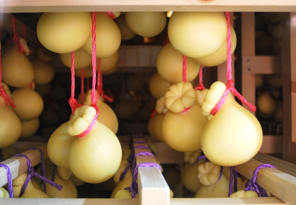 Caciocavallo generico su fondo neutro