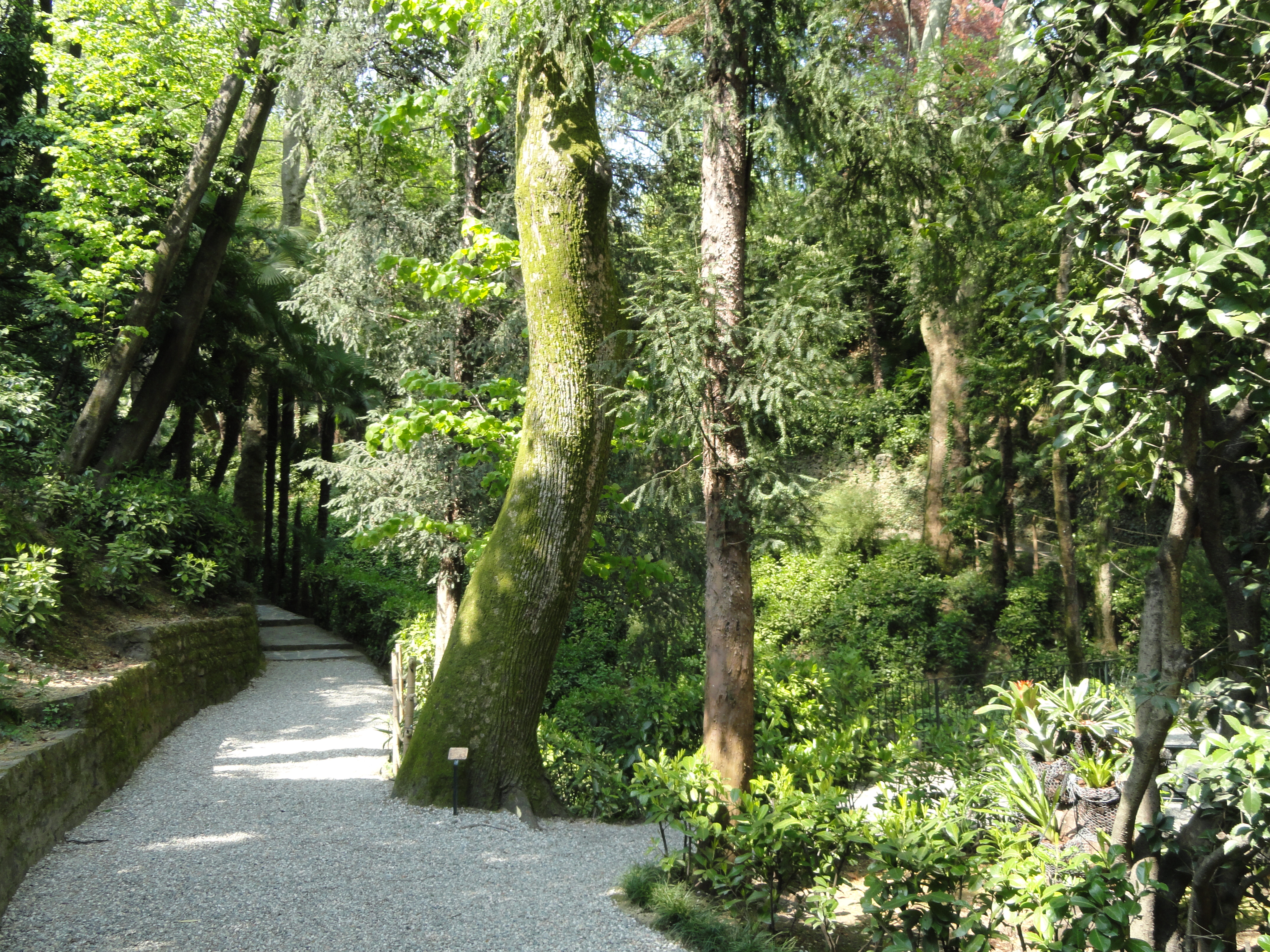 Dettaglio del giardino di Villa Carlotta a Tremezzo