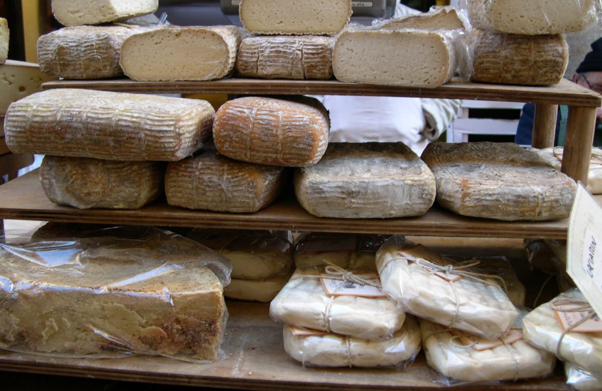 Formaggi italiani generici su un piano