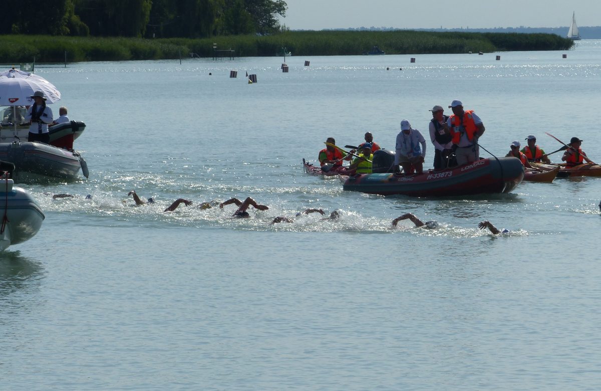 Gara di nuoto in acque libere con atleti in acqua