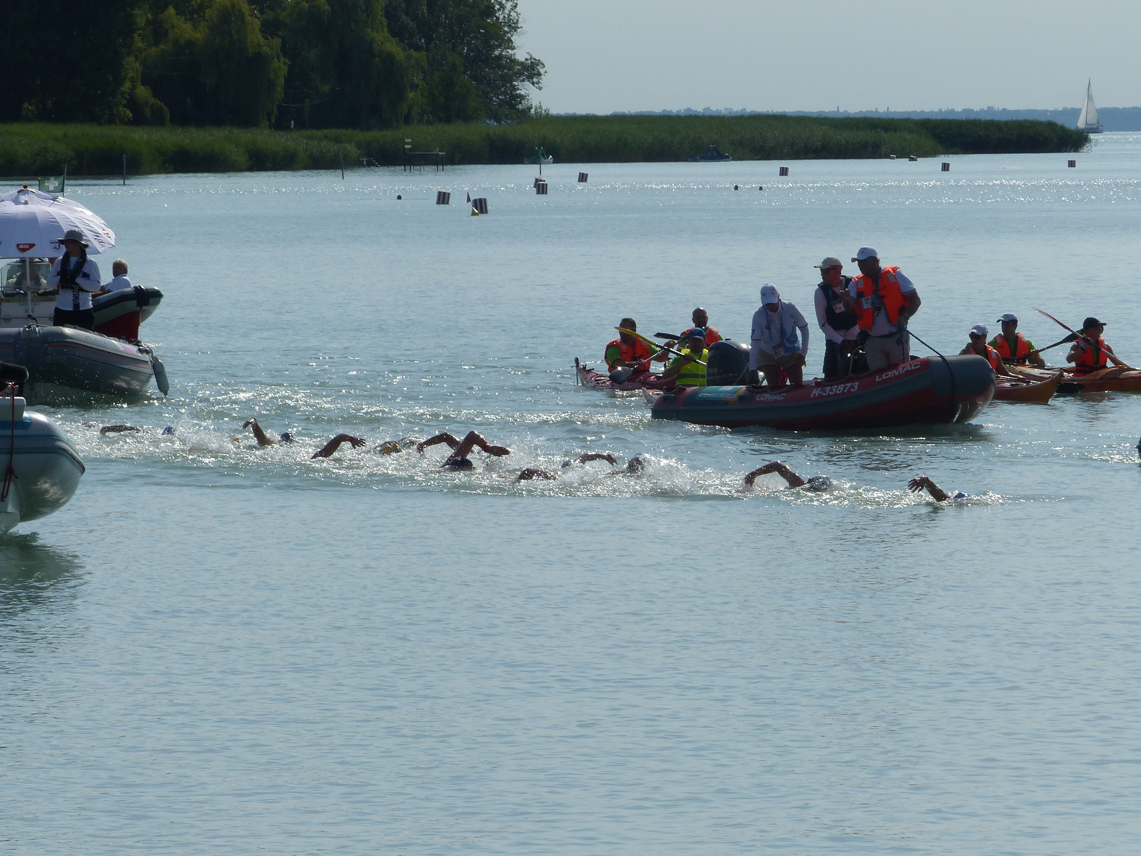 Gara di nuoto in acque libere con atleti in acqua