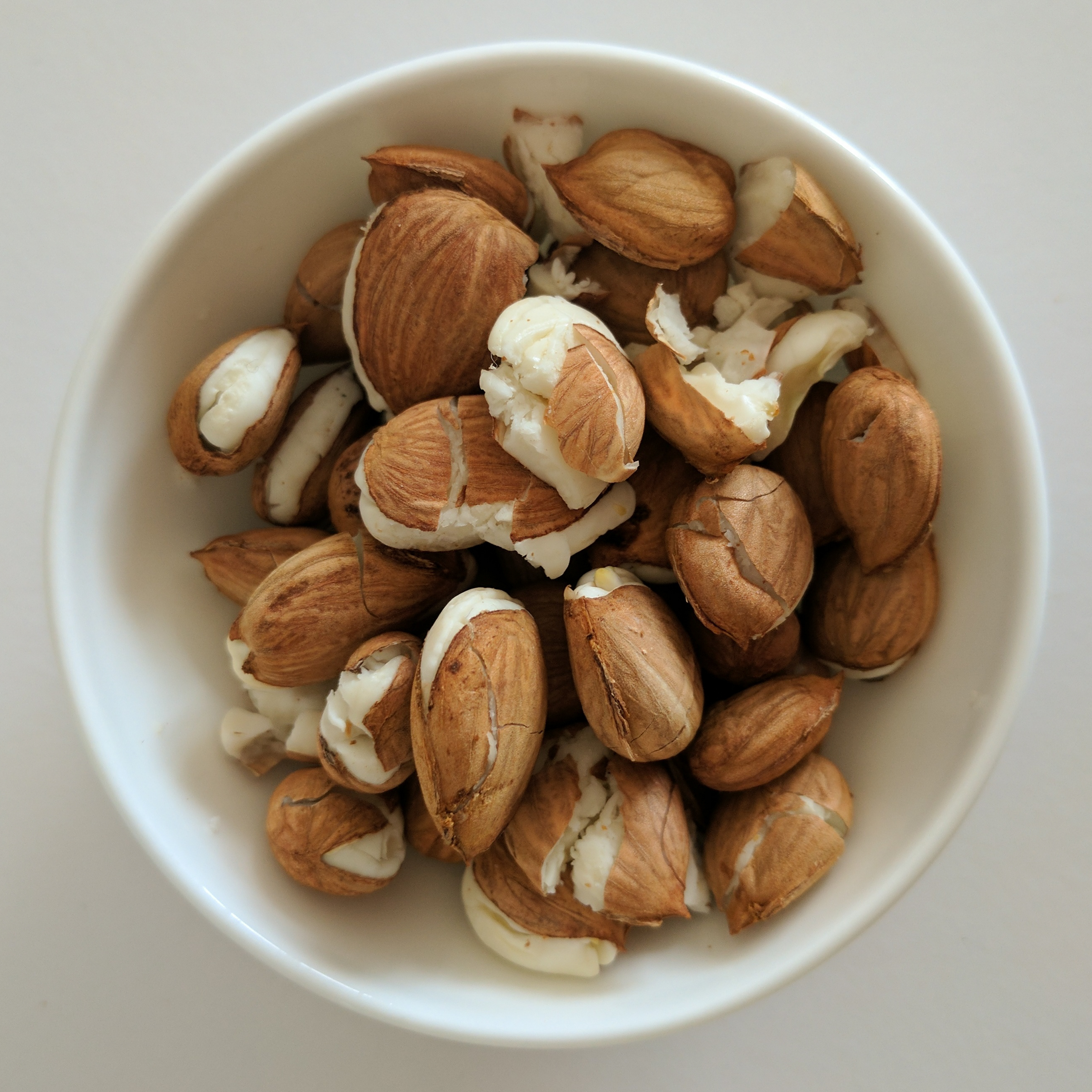 Noccioli di albicocca generici in una piccola ciotola