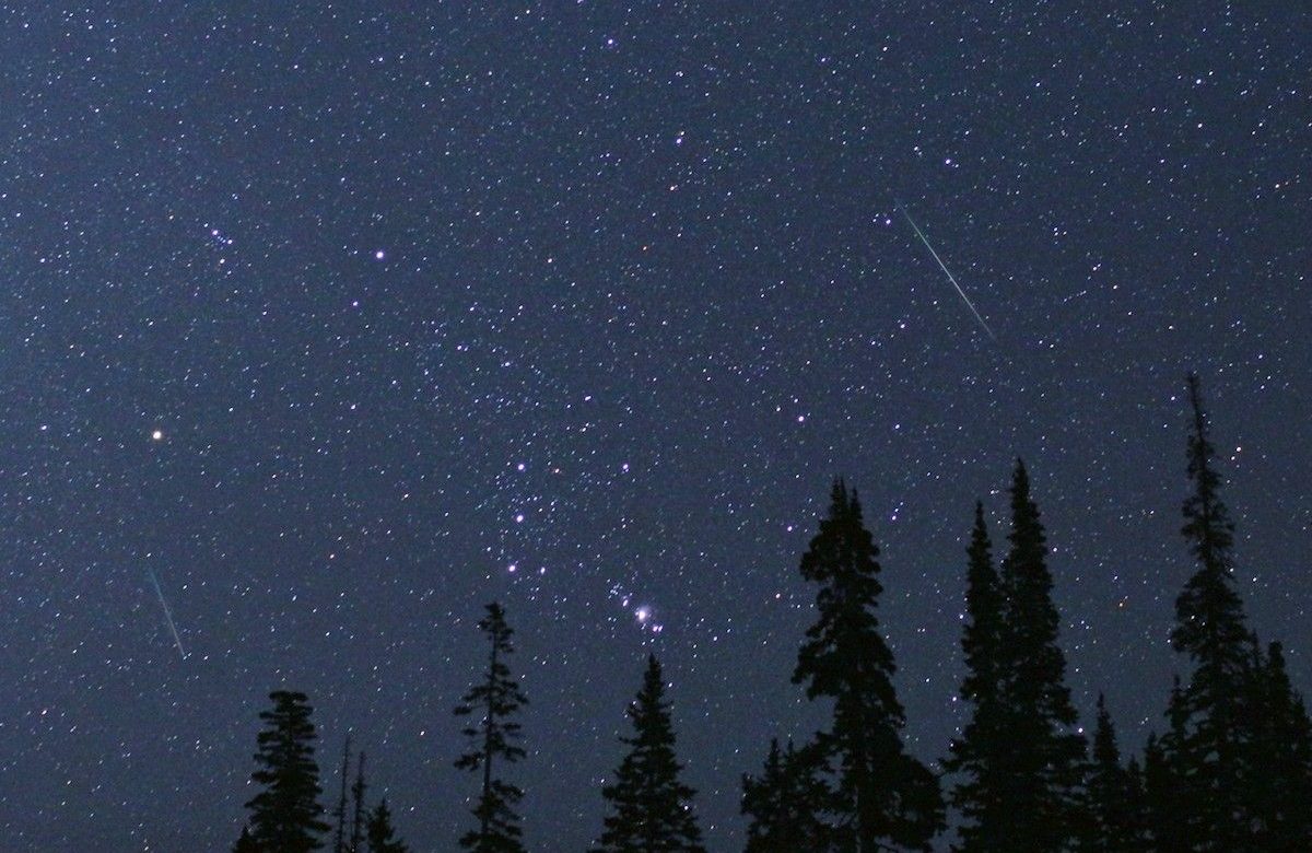 Meteore Perseidi nel cielo notturno in una foto NASA