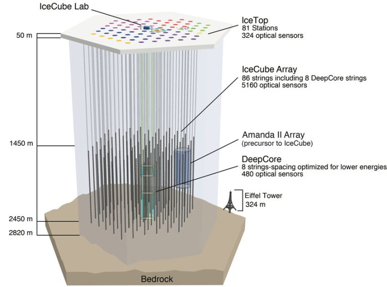 Schema dell osservatorio IceCube con sensori nel ghiaccio