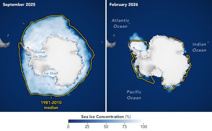 Confronto NASA della concentrazione del ghiaccio marino antartico 2025 2026